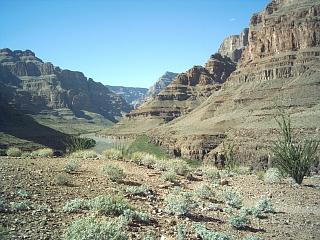 The Grand Canyon