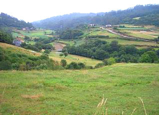 Countryside in Lousame
