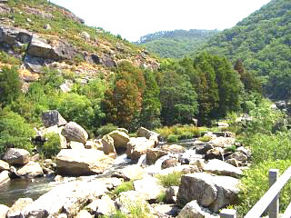 Tambre river