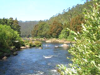 The river