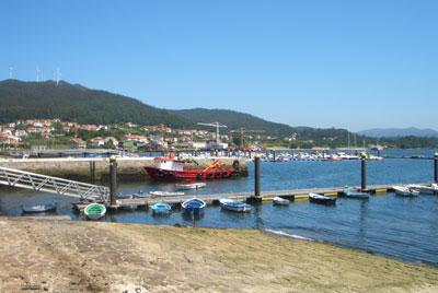 Freixo marina