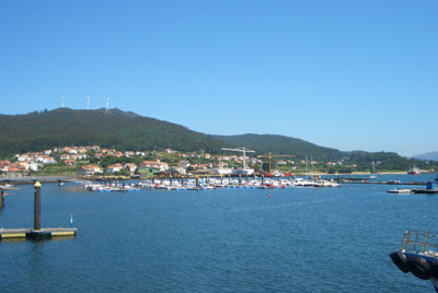 Freixo marina