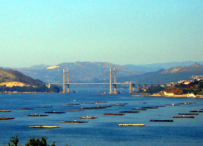 Looking back in to the bay (ria) of Vigo